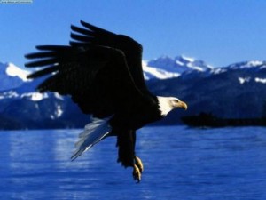 Como el águila-Poema cristiano